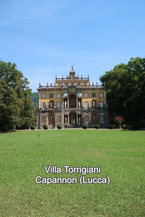 Casa Del Geco - La Natura Intorno A Te * Camaiore