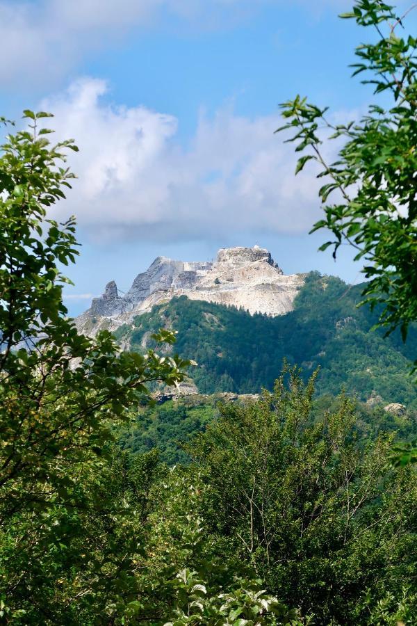 Casa Del Geco - La Natura Intorno A Te Holiday home Camaiore
