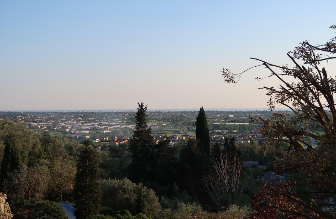 Casa Del Geco - La Natura Intorno A Te Camaiore